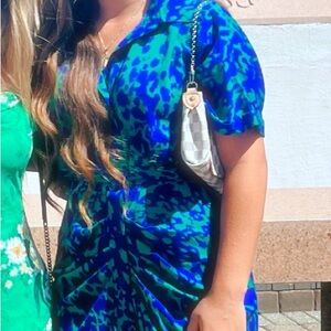 Bold Blue and Green Animal Print Dress